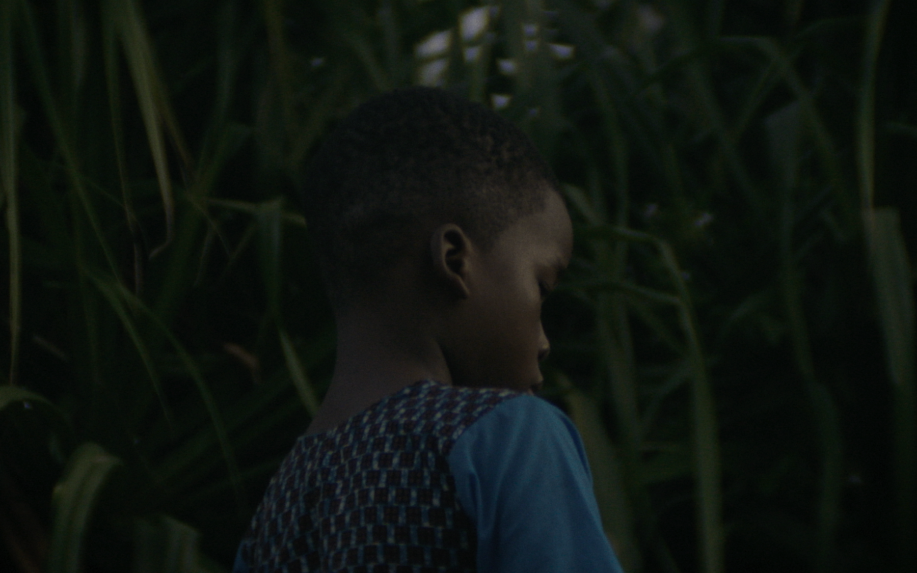 Capture d’écran, le 2026-01-24 à 13.19.06