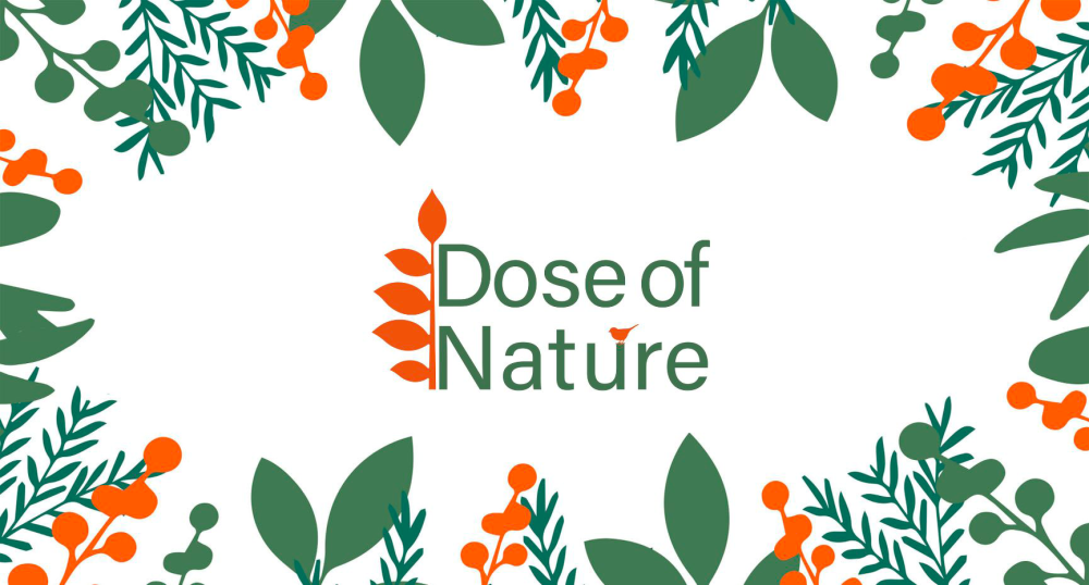 WMHD - Dose of nature image