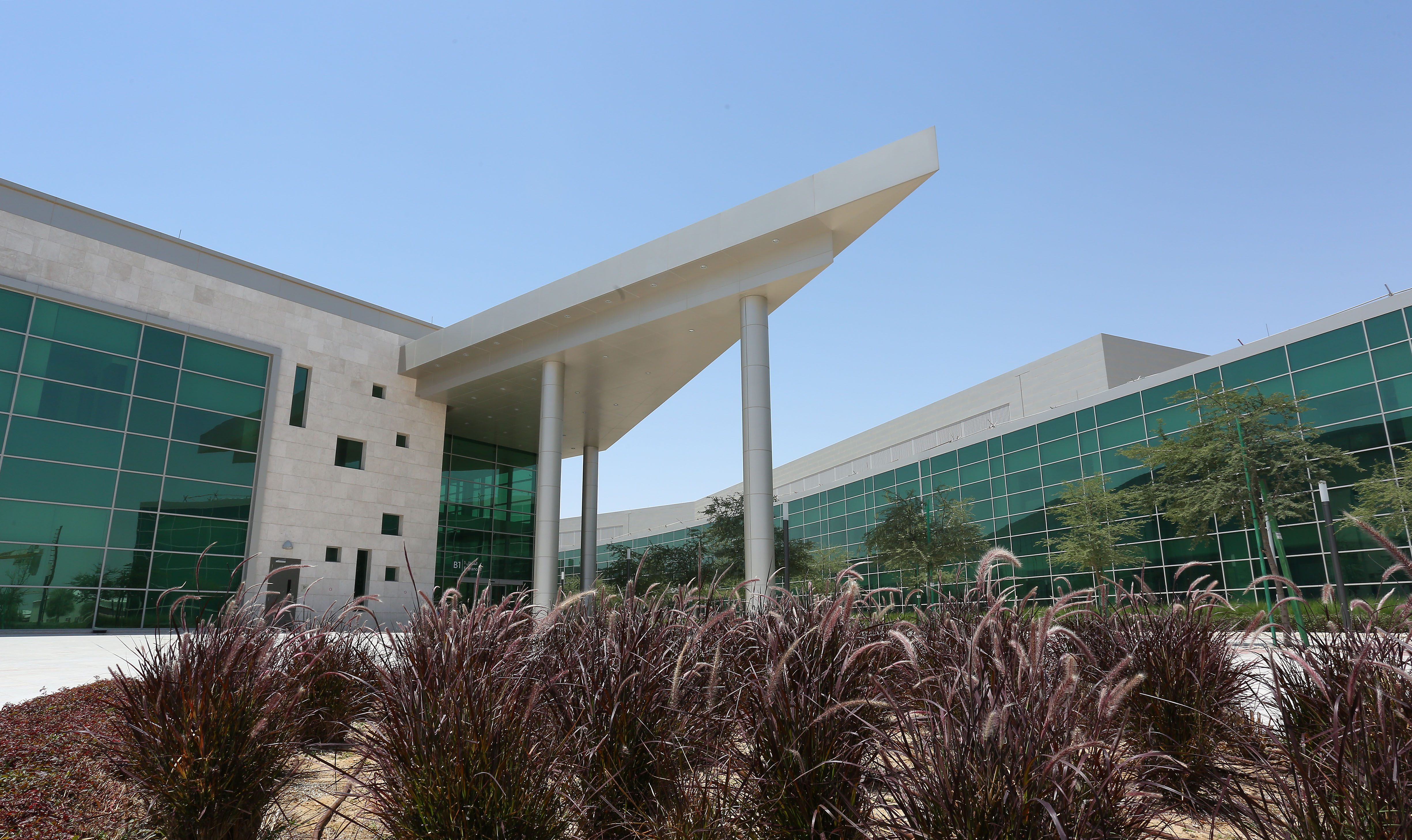 RES005 - QBRI stem cell