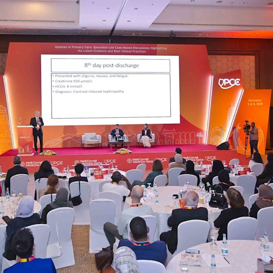 Exploration, Opportunity, Insight