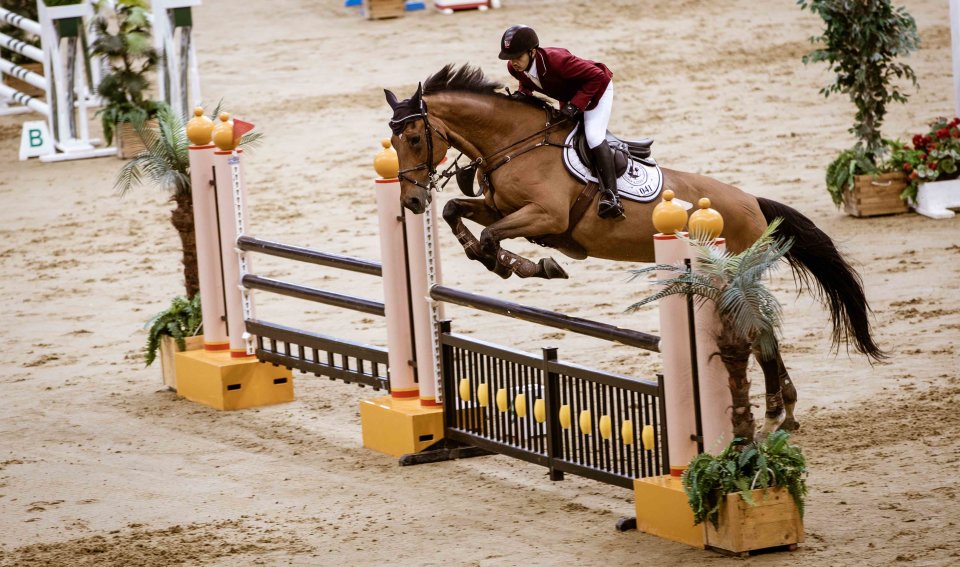 Riders shine as QF’s Al Shaqab holds first Showjumping Competition