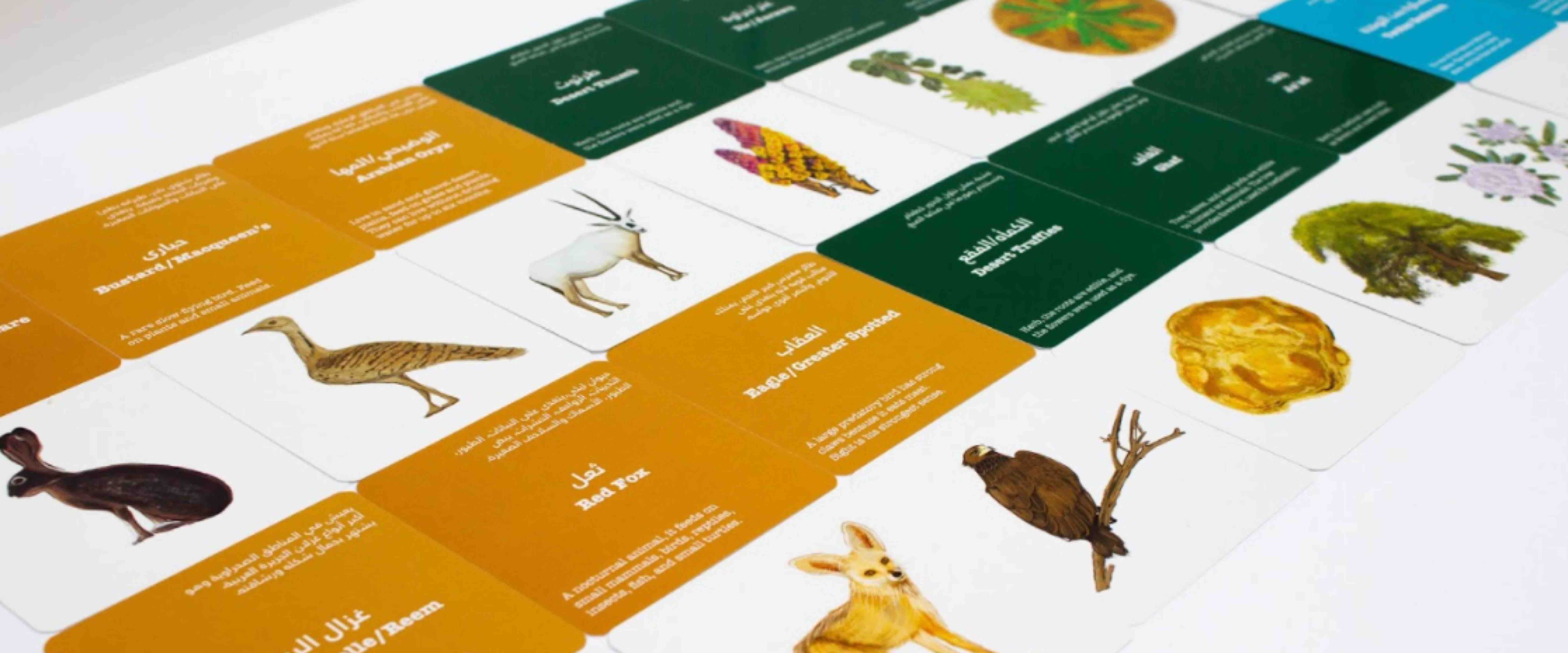 QF graduate crafts a child-friendly version of Qatar National Vision 2030