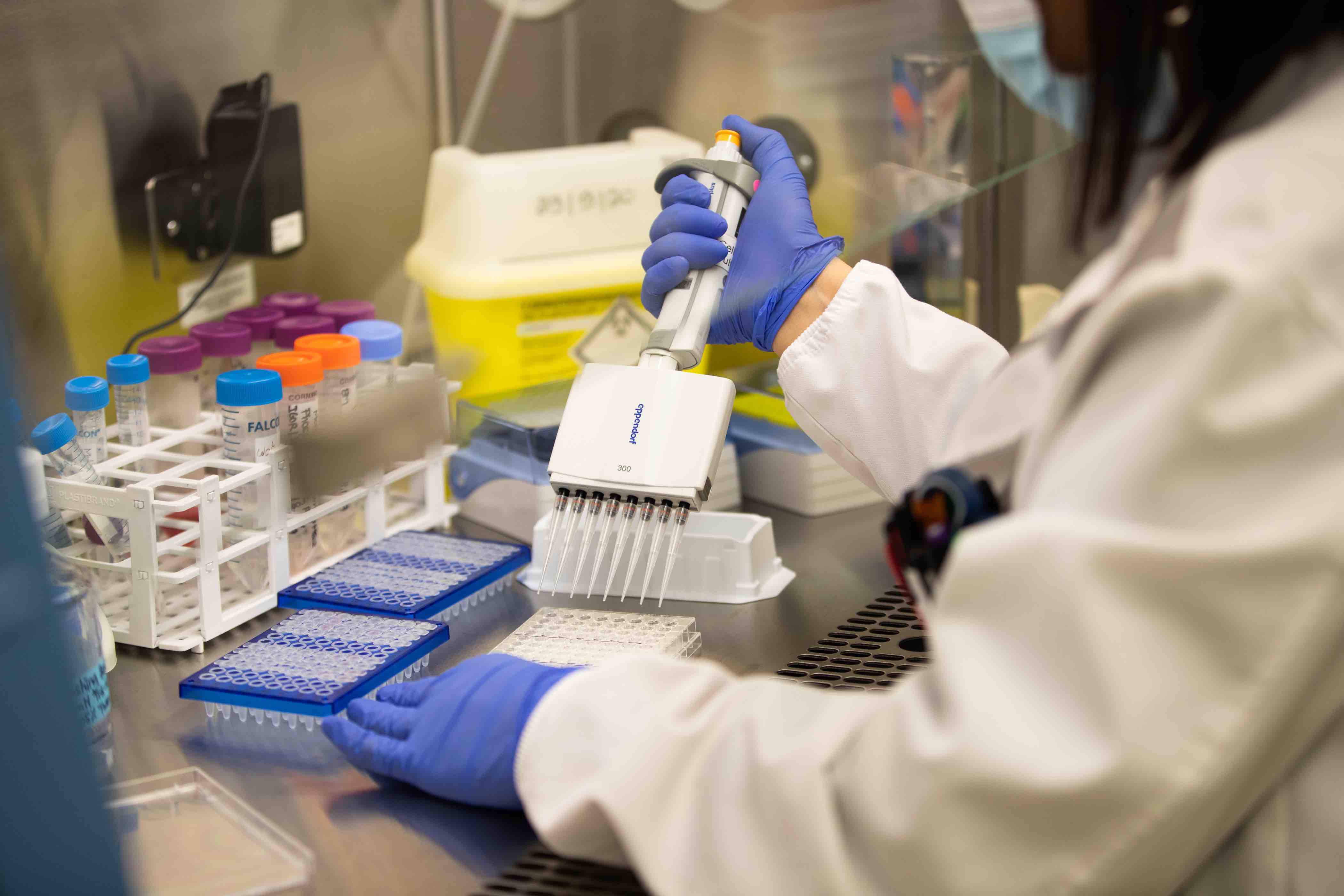 Researchers at Sidra Medicine - qf - 04