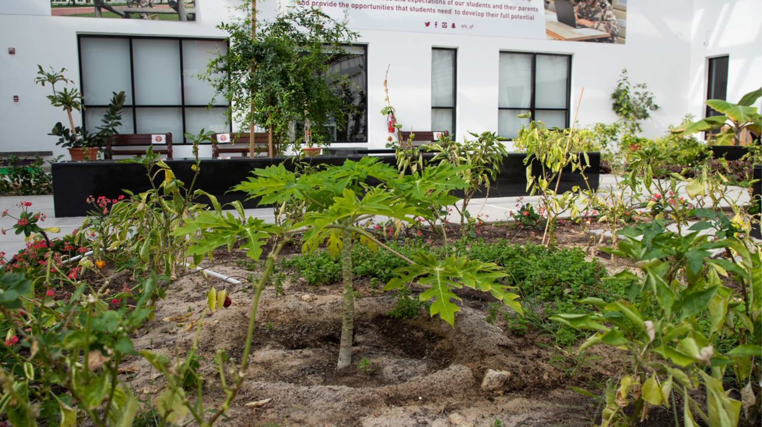 QLA’s herbal garden introduces new form of learning - QF - 03