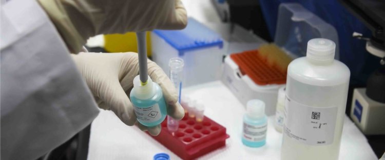 علماء مؤسسة قطر يبحثون في تأثير فيروس كورونا على البلدان المختلفة