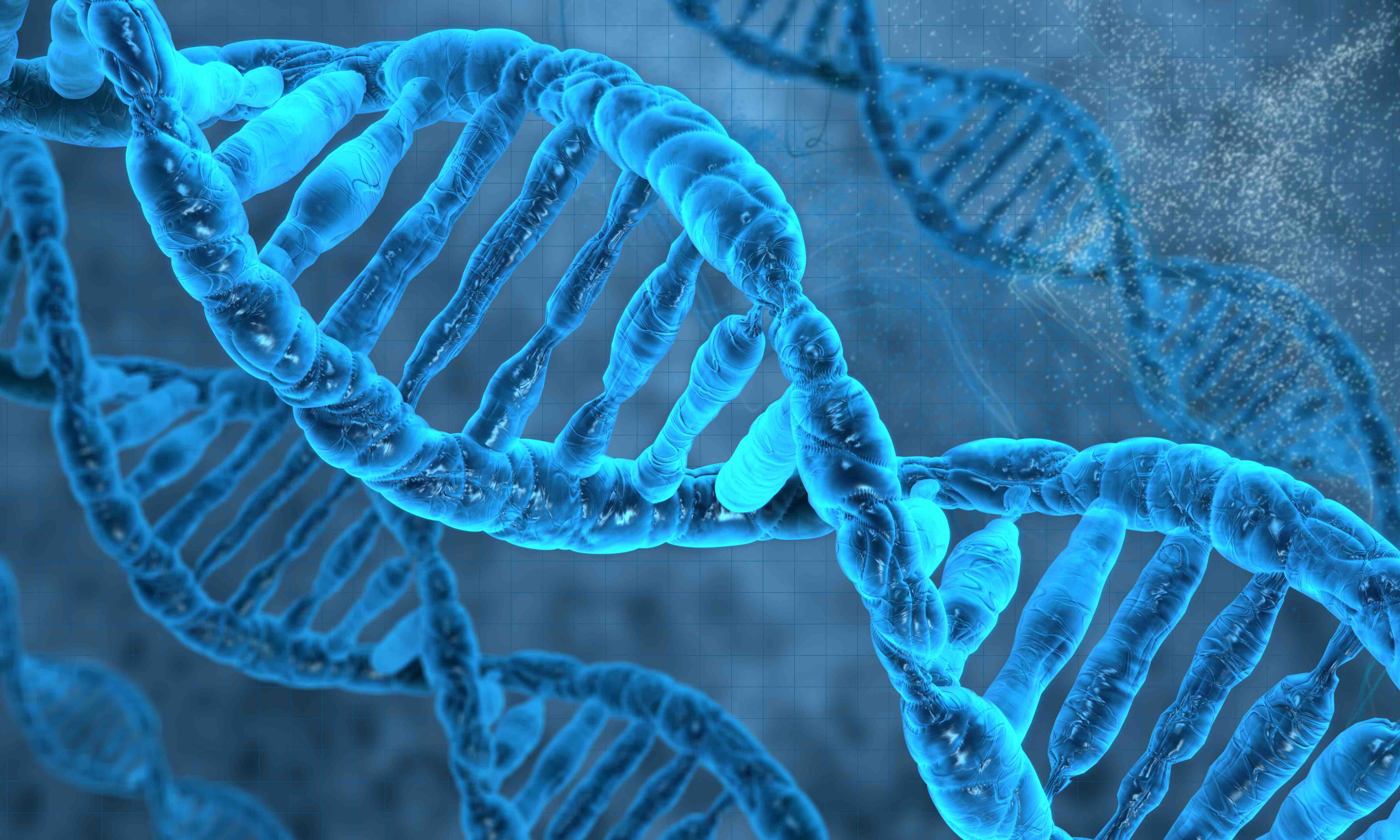 PC-Vitstudio - medical health - 03