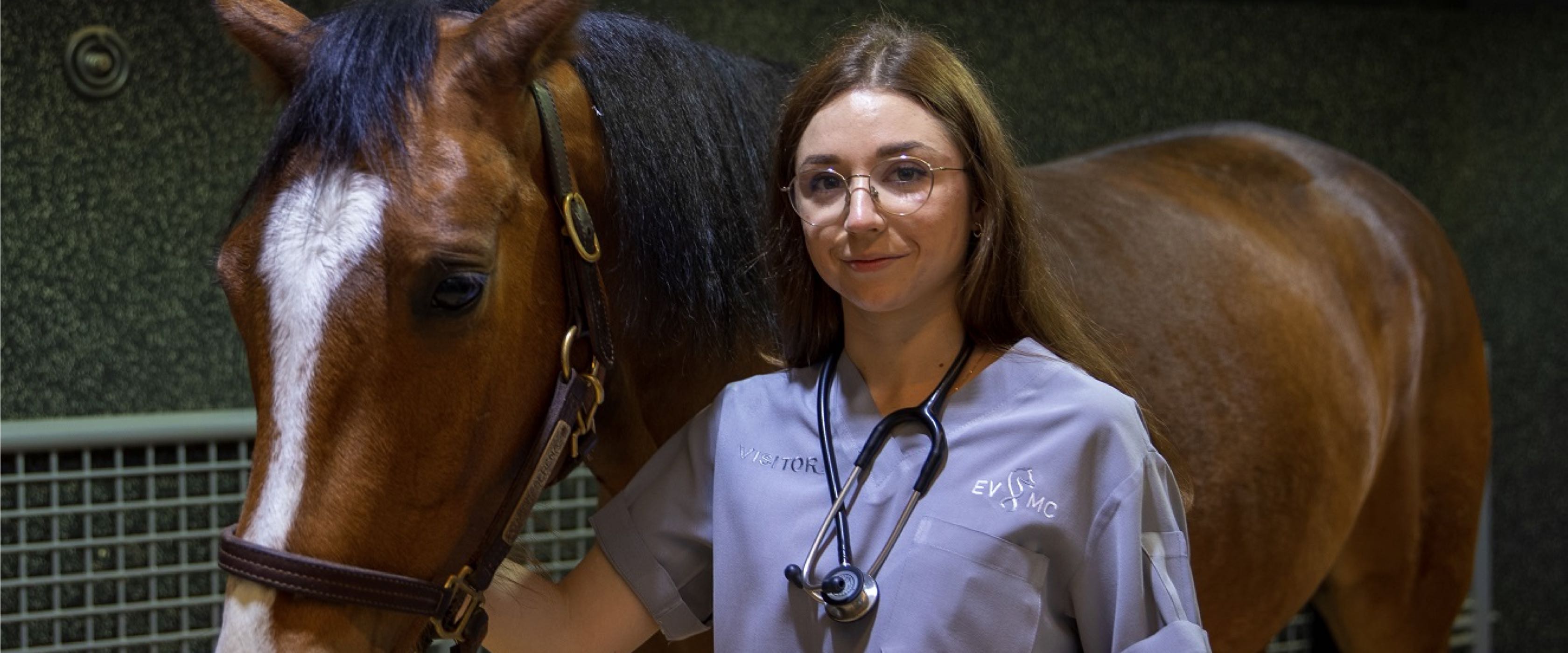 From Munich to Doha for an externship at Qatar Foundation