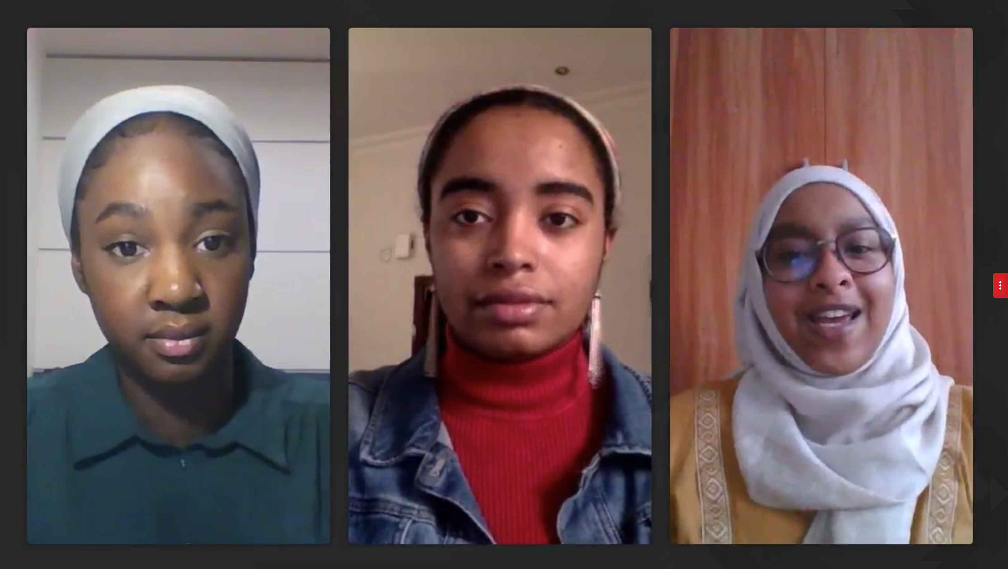 Caption 2 - BLM webinar screenshot