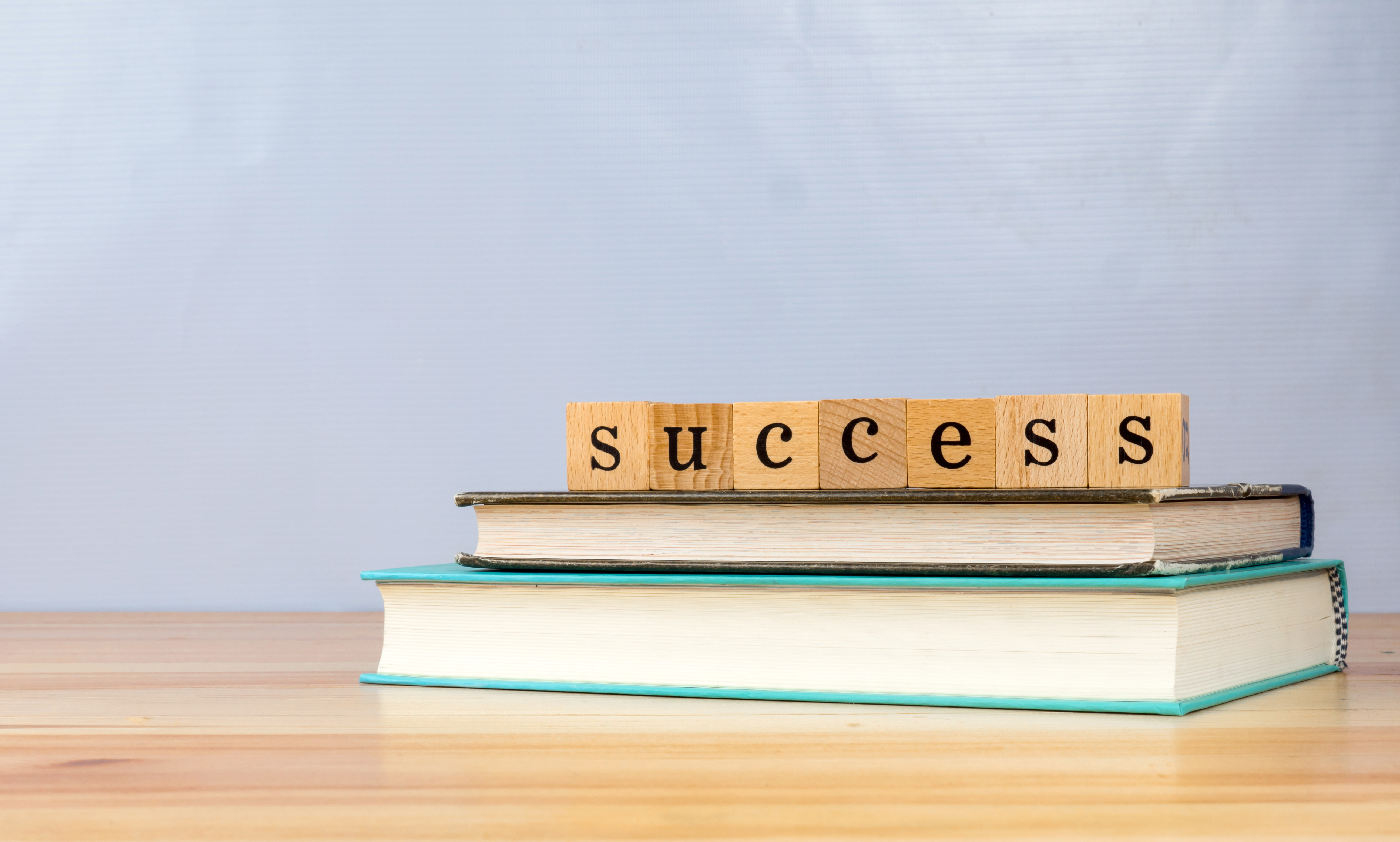 Tama2u - Success - book