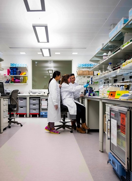 Qatar University Support Green Biotechnology Research Qatar Foundation