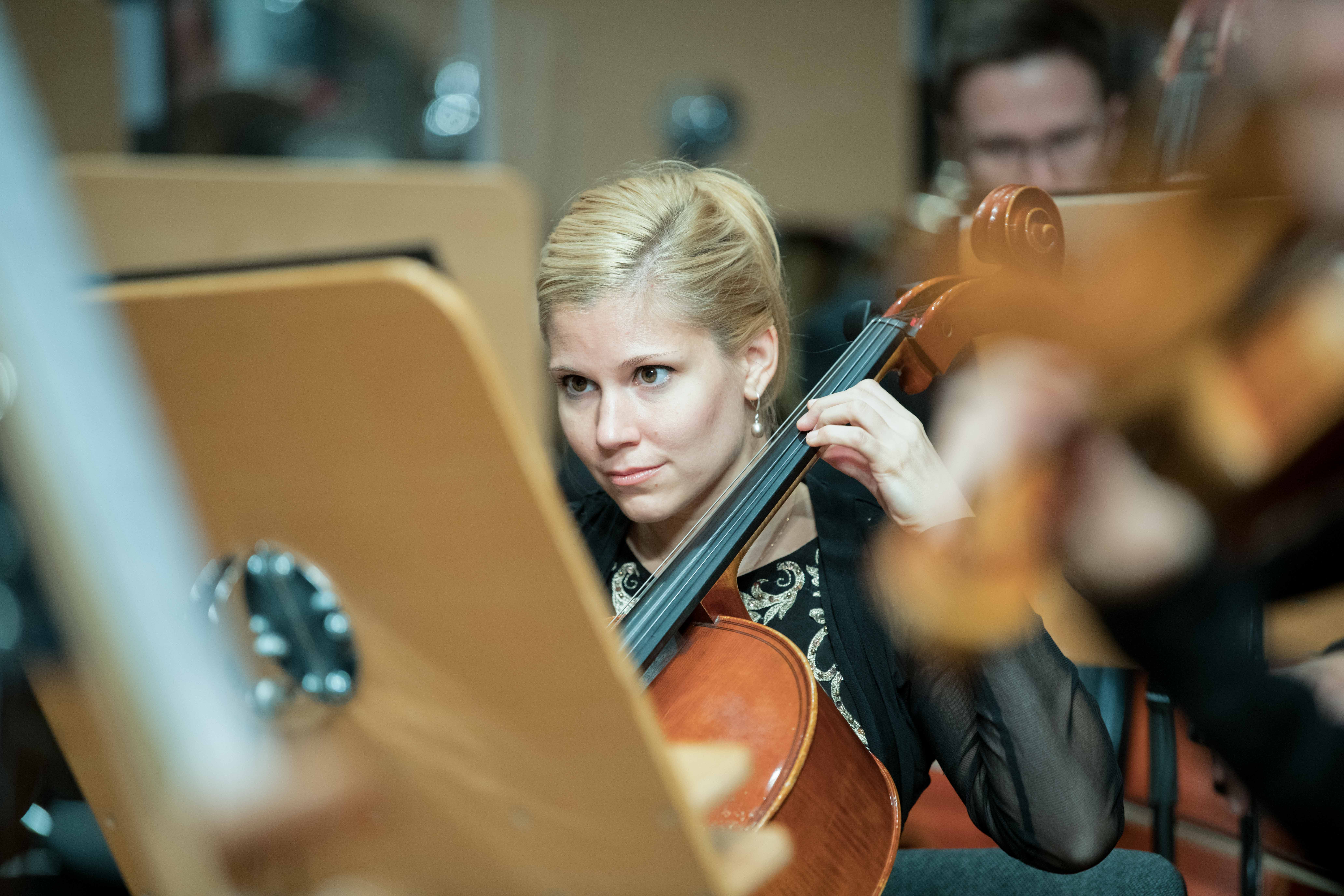 COM003 - Arts and Culture image