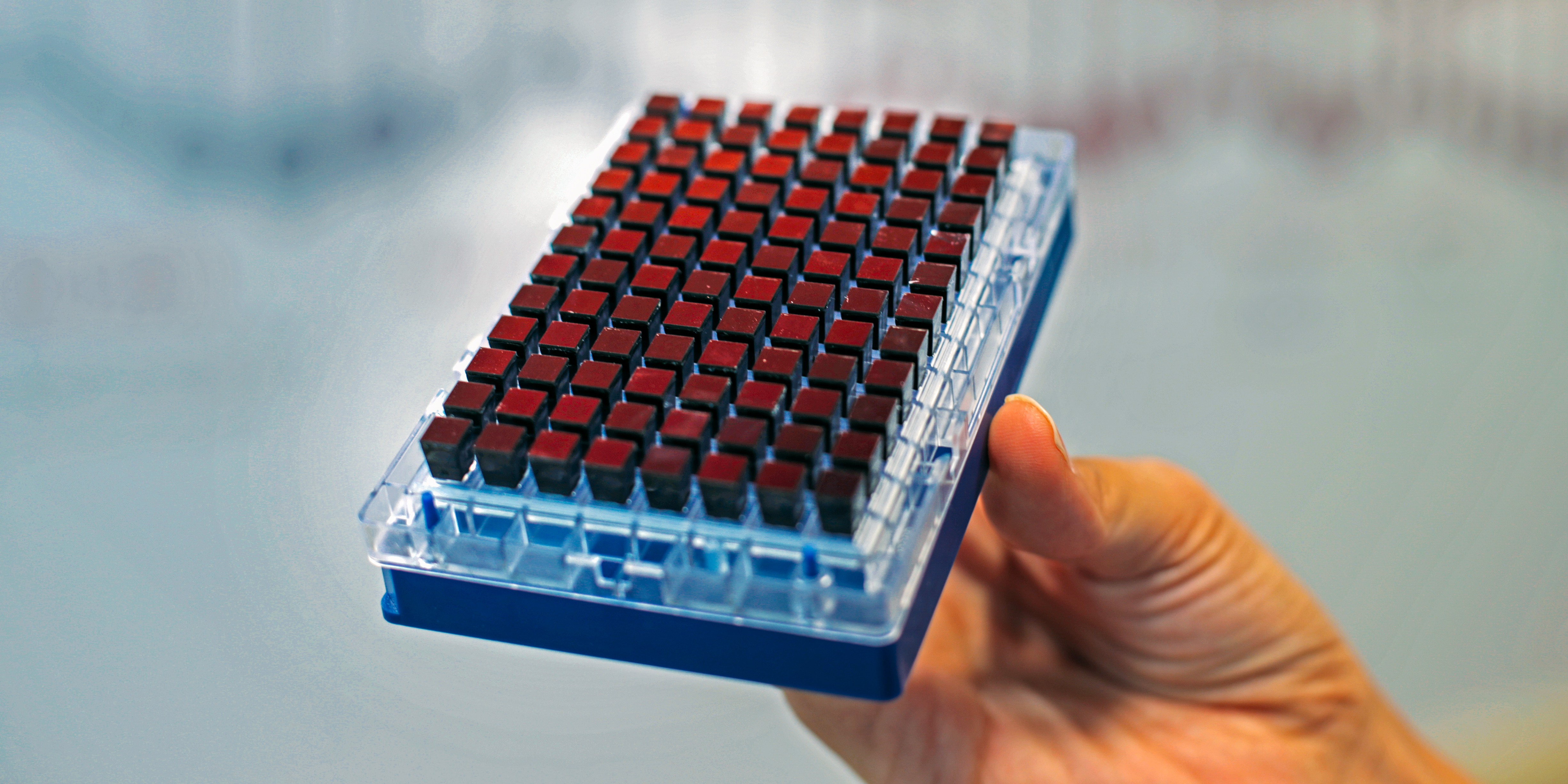 Why is Qatar investing heavily in studying genes?