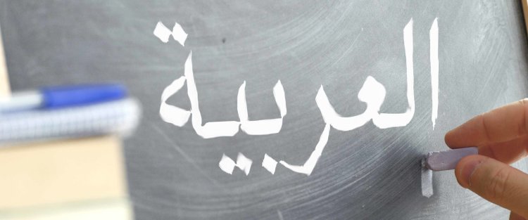مقال رأي: اللغة العربية بين الاستدامة والتحدي الثقافي