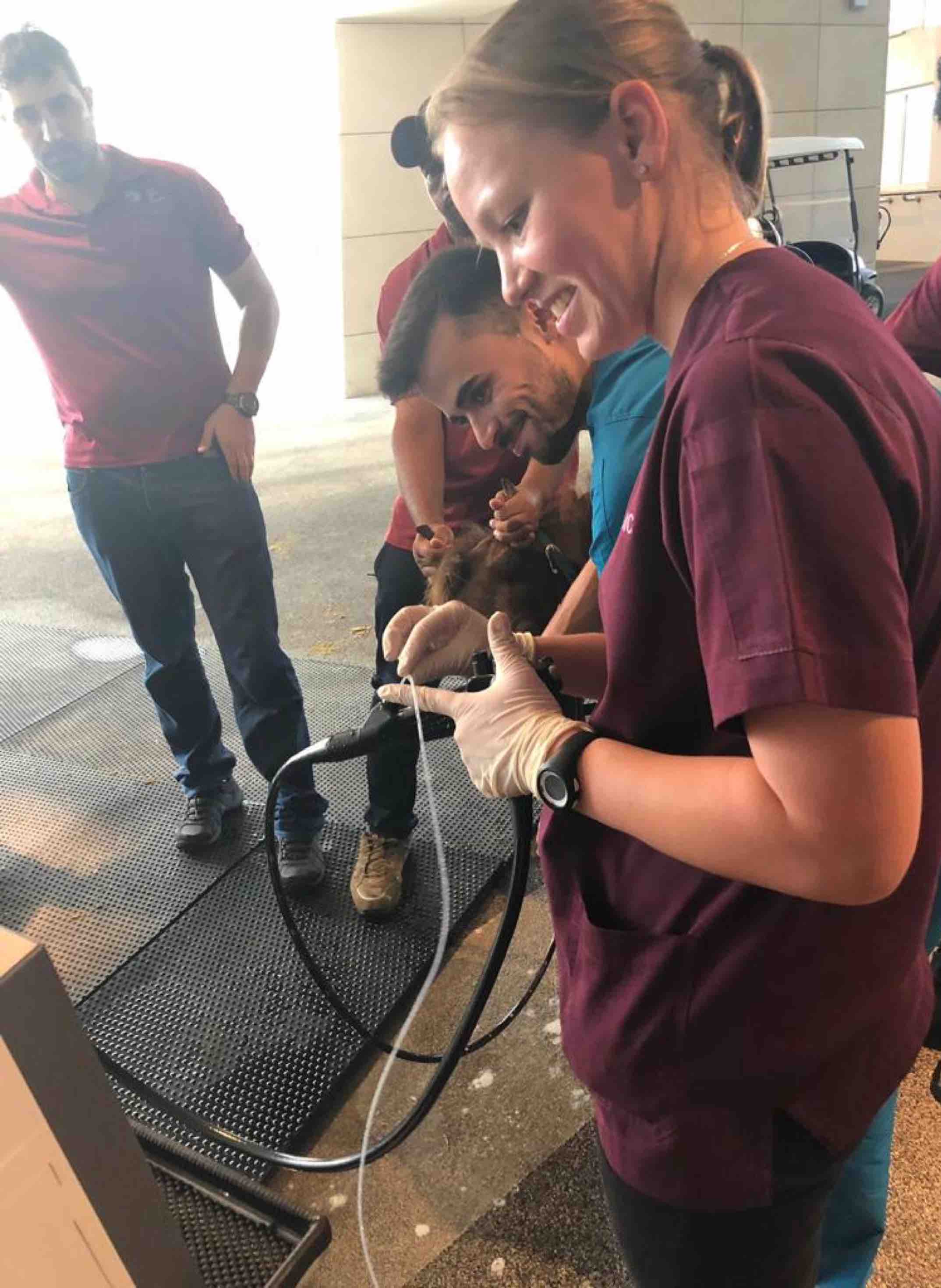 Dr. Camilla Jamieson, Senior Clinical Veterinarian at the Equine Veterinary Medical Center - QF - V1