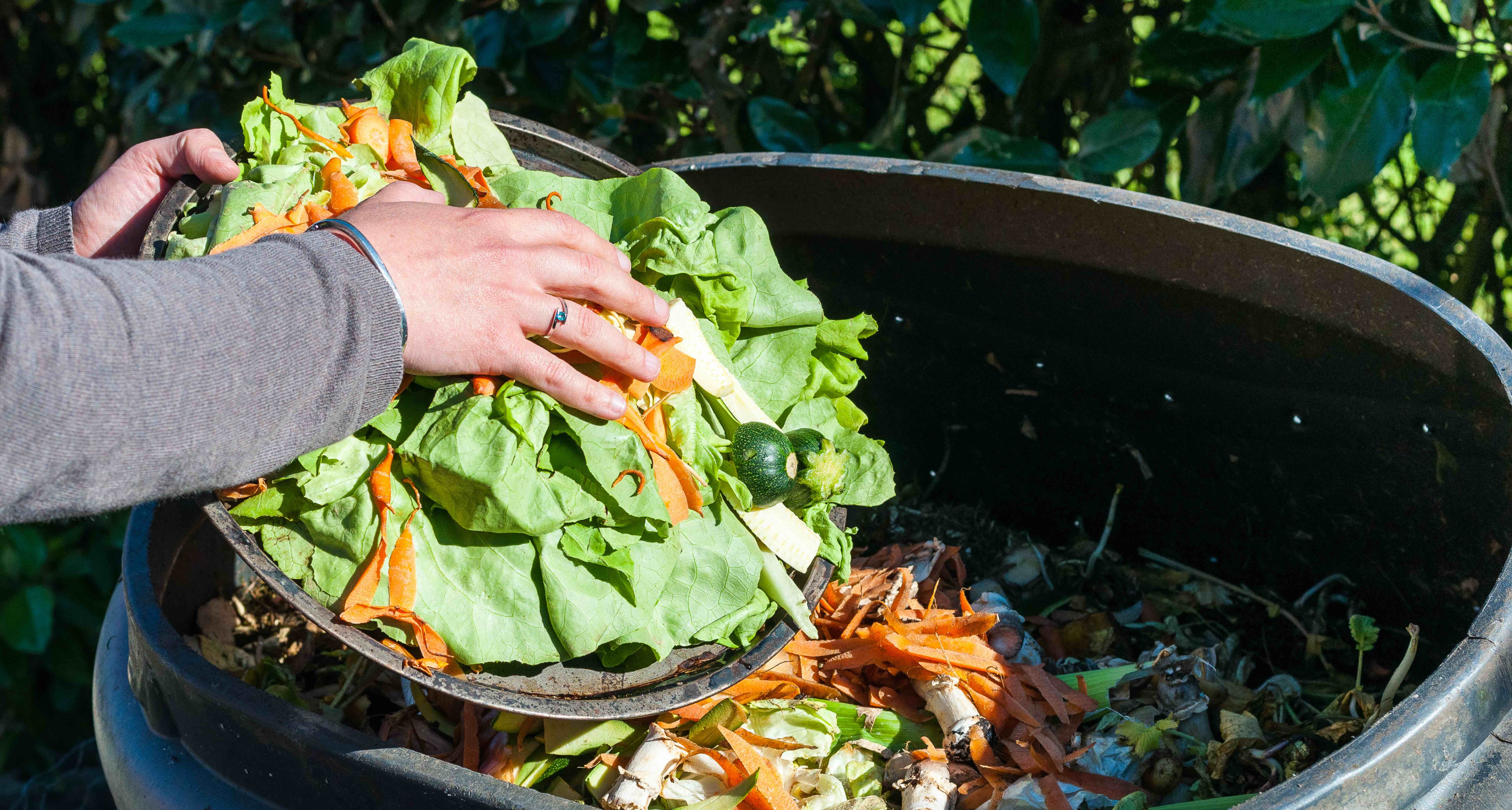 QGBC Food Waste Webinar - 02