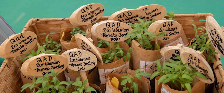 QAD Primary and QLA hoist green flags as they become Eco-Schools