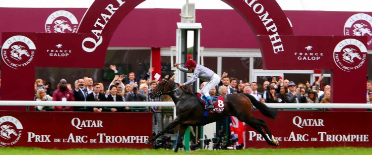 Racing Al Shaqab horses to success – in France