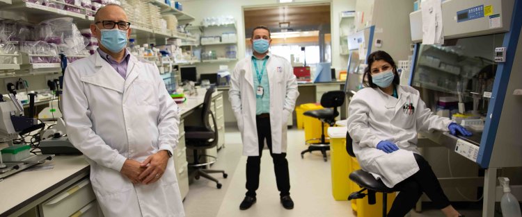 علماء مؤسسة قطر يستكشفون جدوى "جوازات المرور المناعية"  
