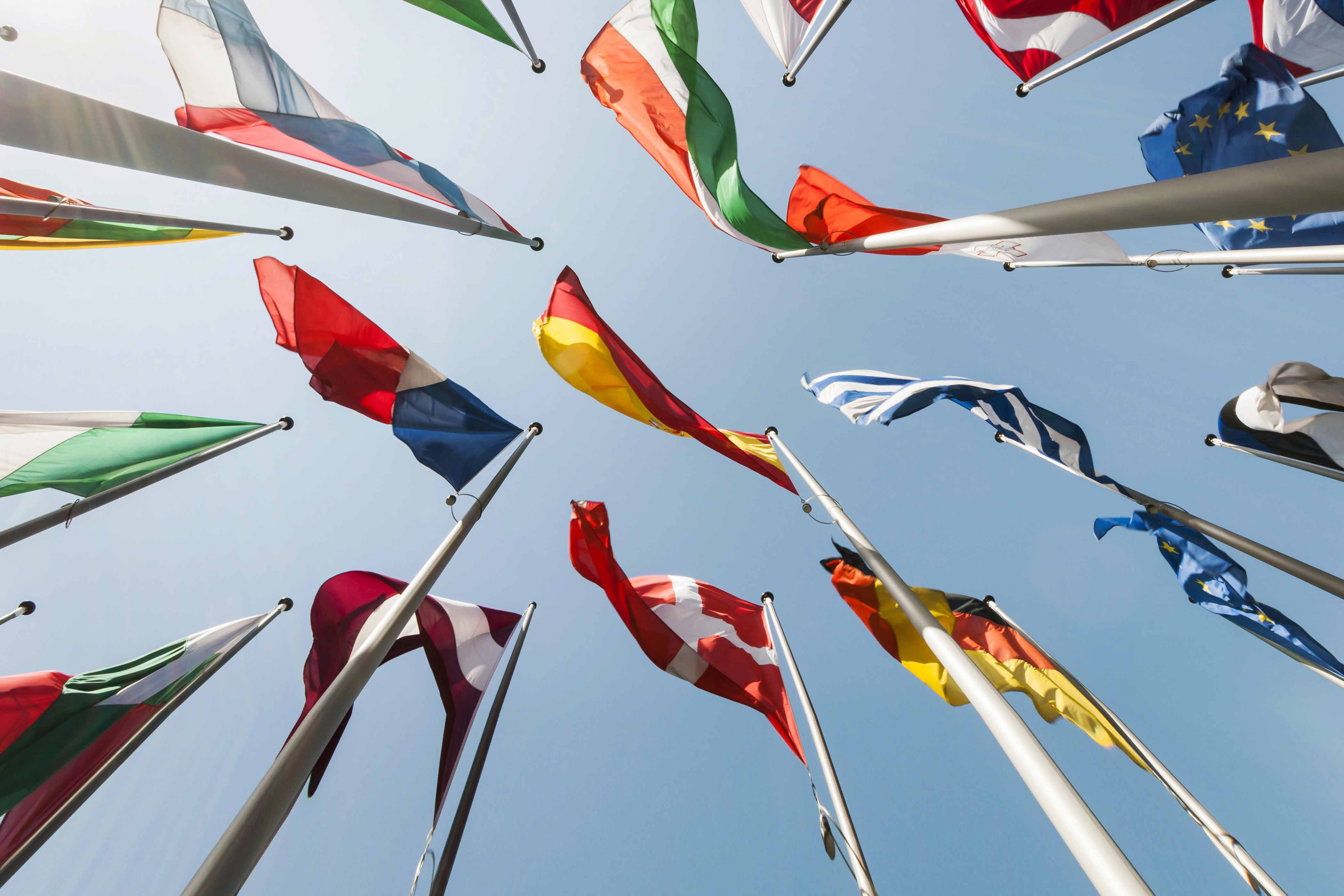 Language Courses for Adults, Youth, and Children