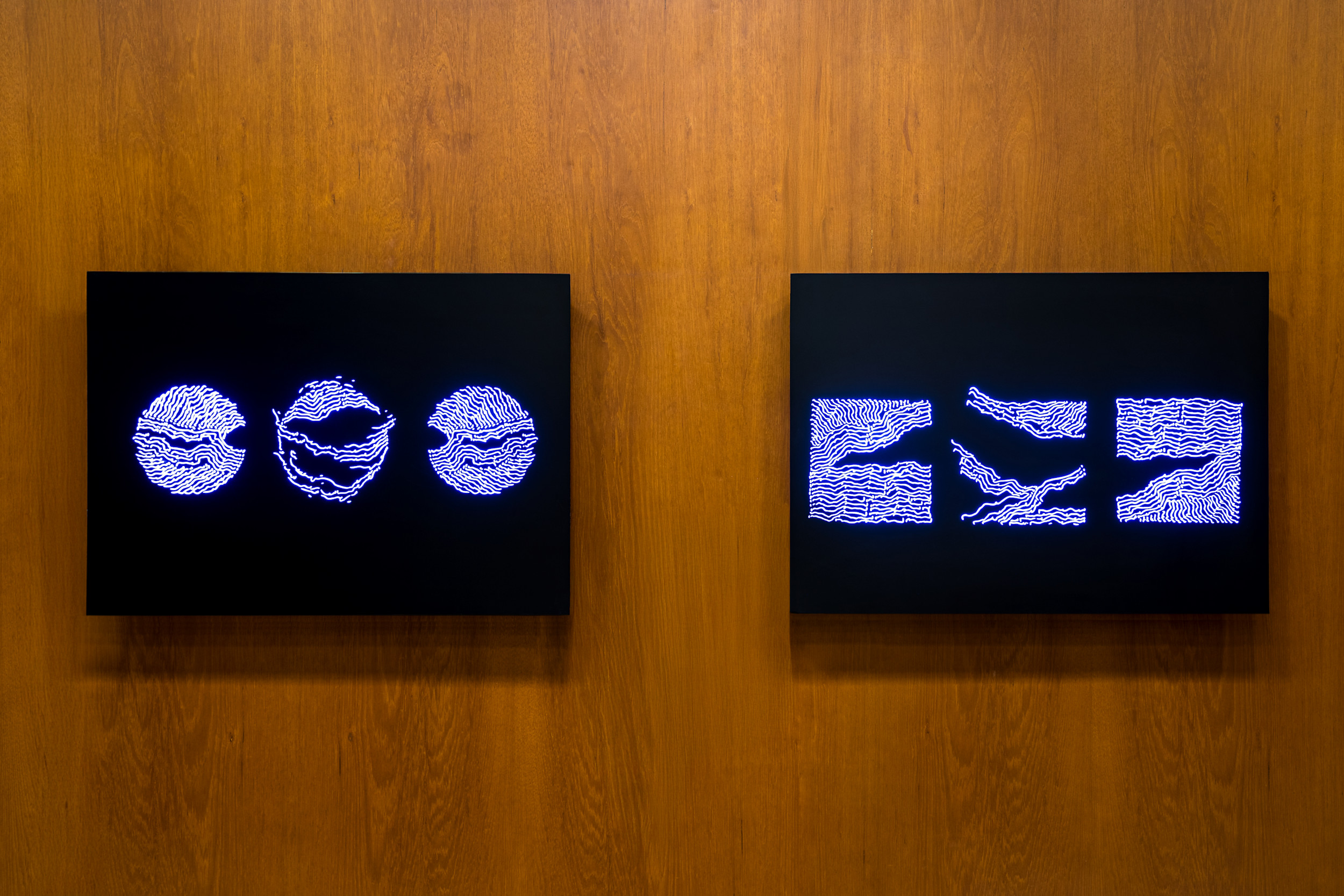 Untitled 20 (Lightbox) 02