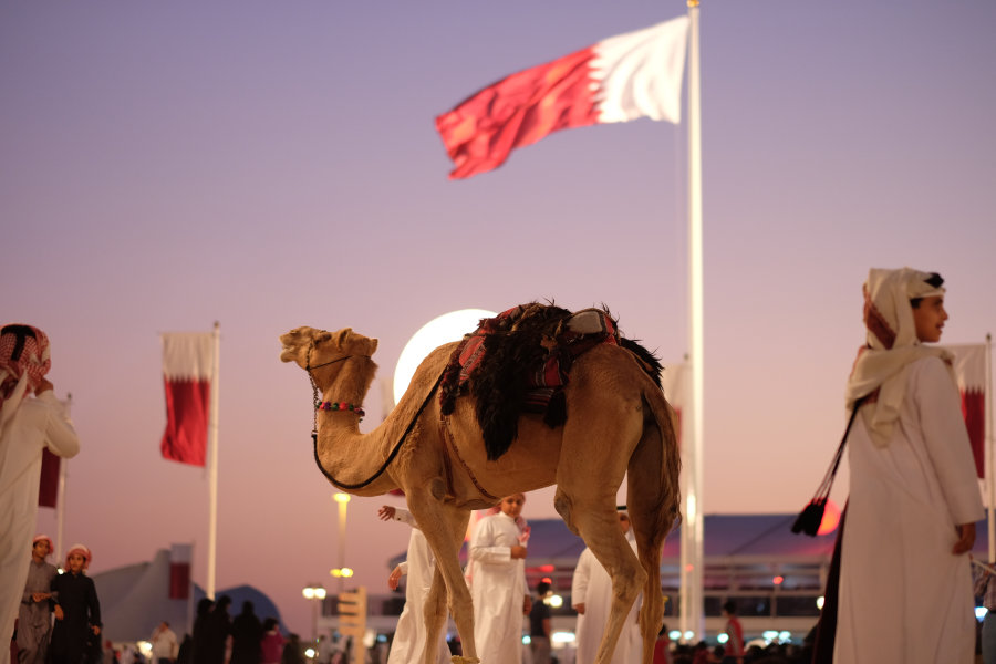 ABO041 - About Qatar - Camel Racing and Horse Riding