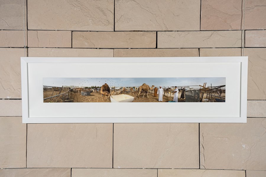 Doha Photography (6) 1