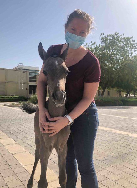 Dr. Camilla Jamieson, Senior Clinical Veterinarian at the Equine Veterinary Medical Center - QF - V4