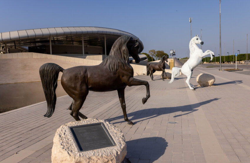 Gazal Al Shaqab - 3