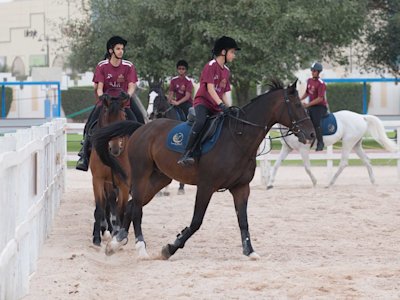 الرياضة