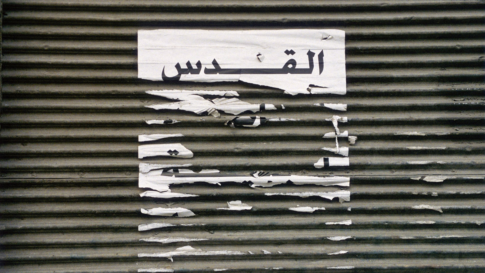 Taysir Batniji: No Condition Is Permanent