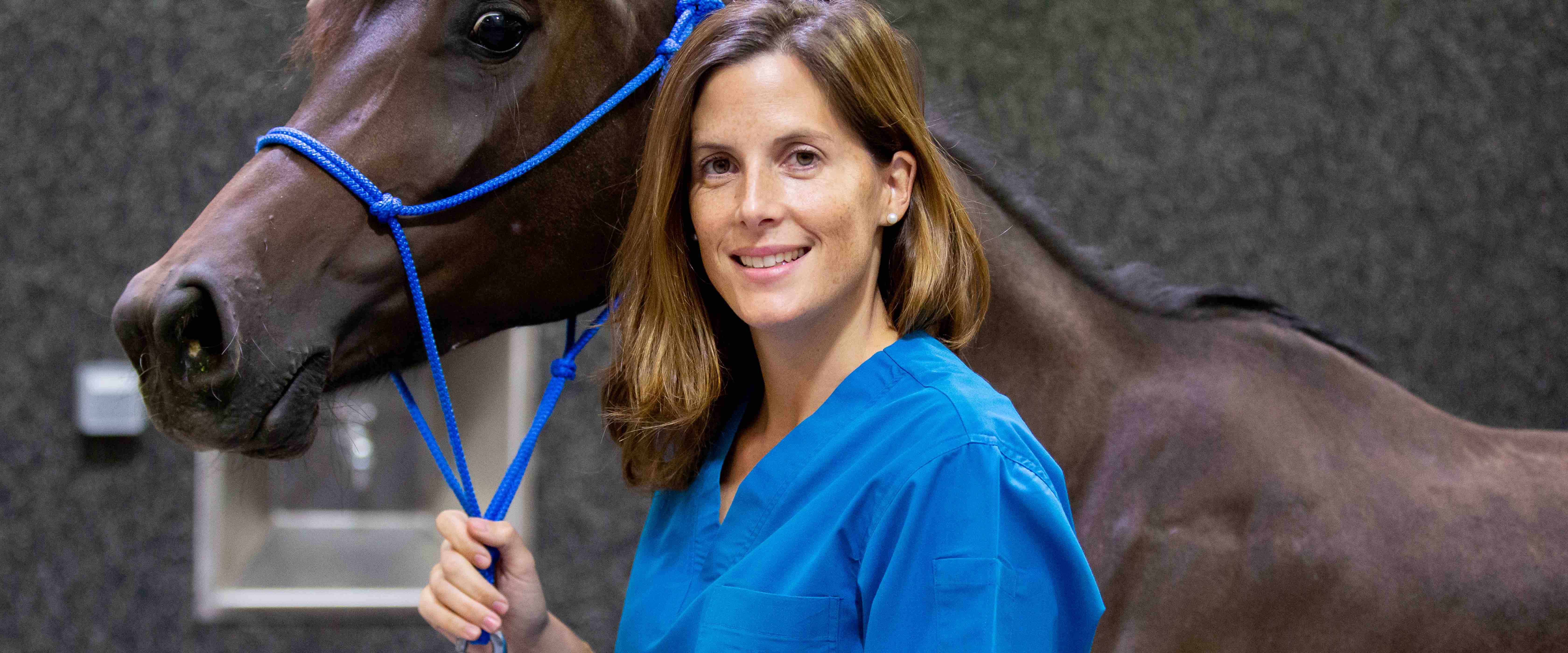 Researchers at QF turn to biochemistry to crack the horse-racing code