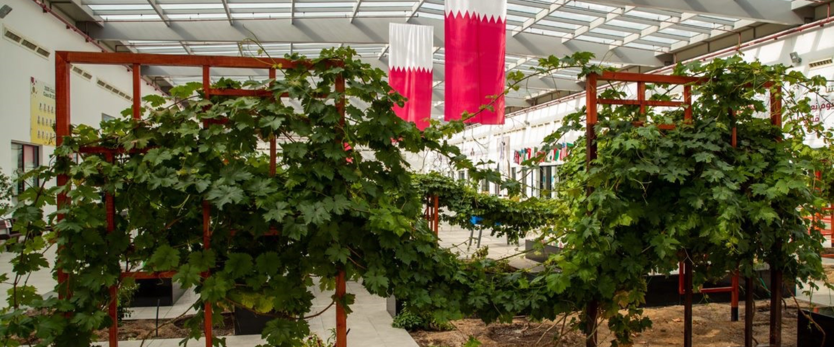 "Plants are similar to us, they need care and respect” says QF student