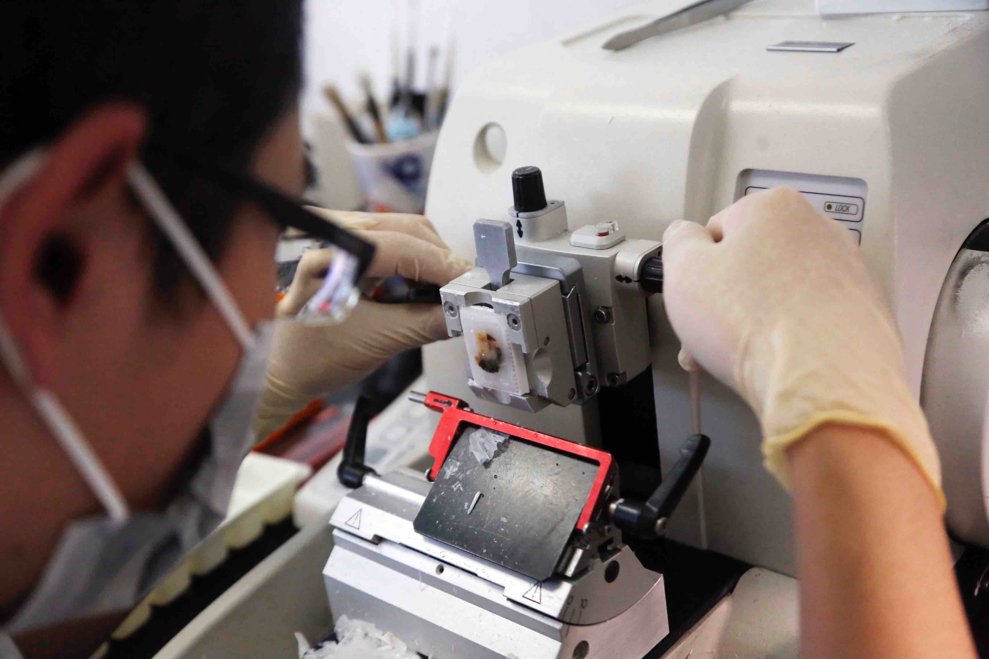 International Day of Women and Girls in Science - healthcare industry - Bai kelin - QF - 01