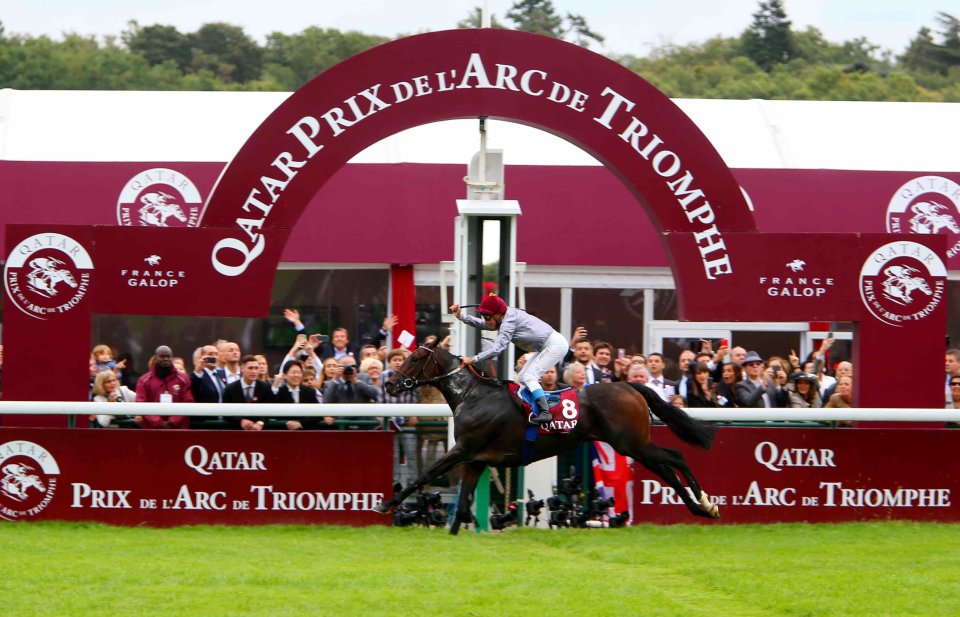 Racing Al Shaqab horses to success – in France