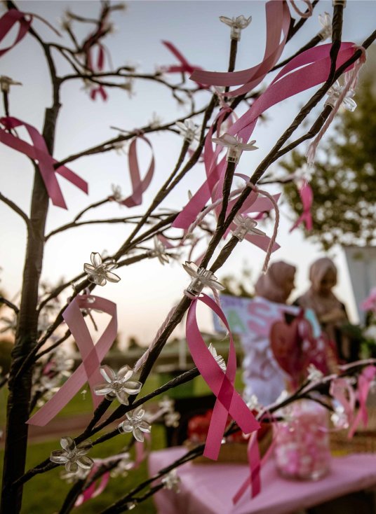 Breast Cancer Awareness walk - v -1