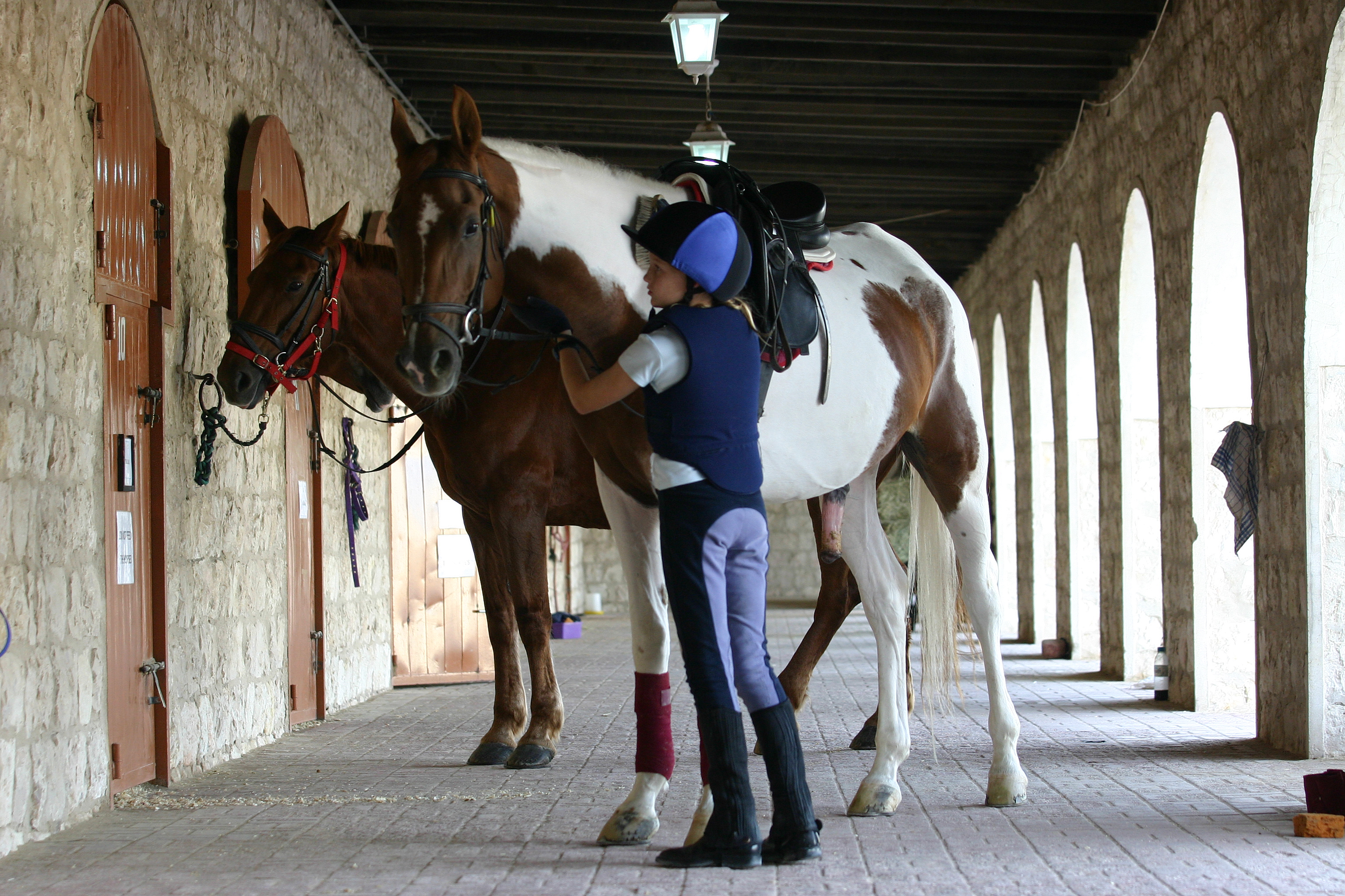 ABO003-7 - Al Shaqab Joins Qatar Foundation