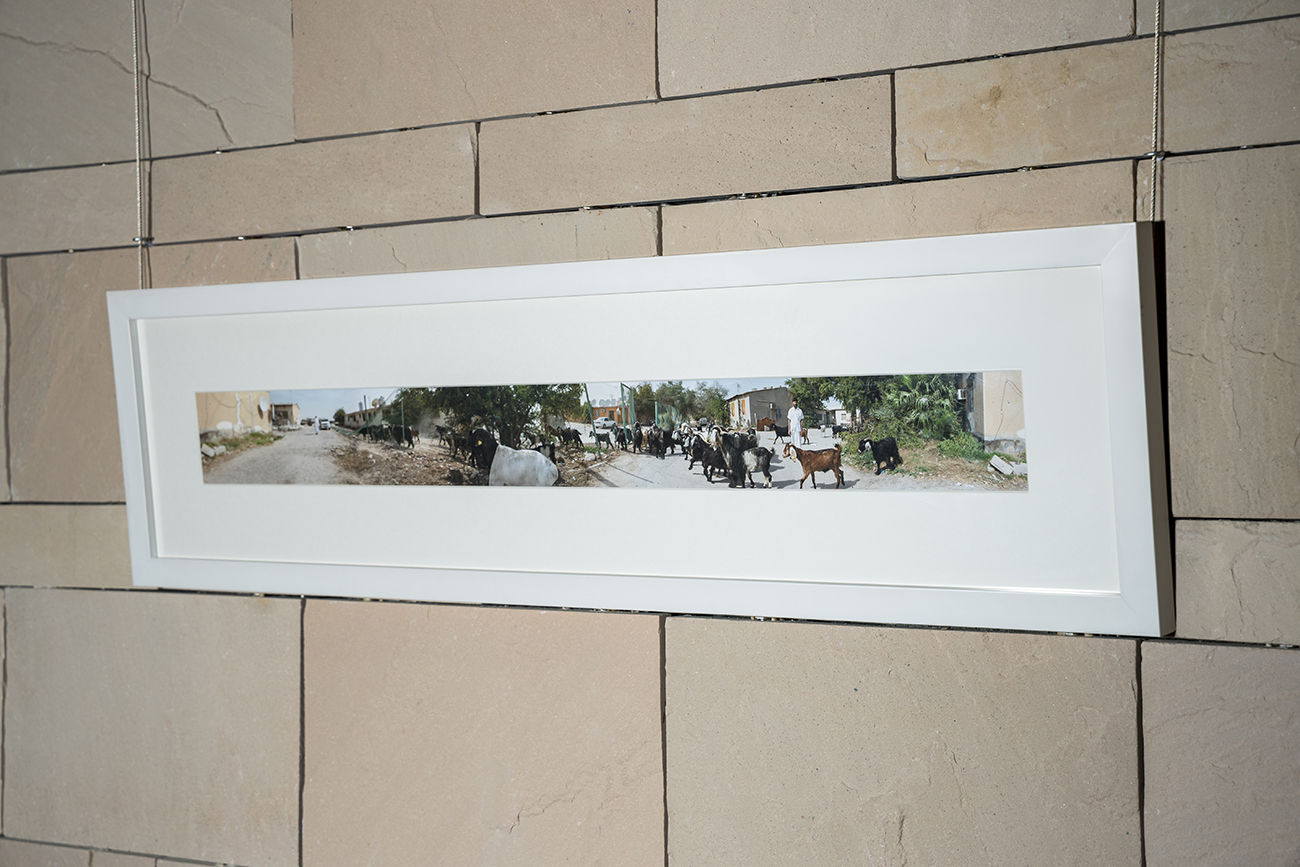 Doha Photography (3) - 3