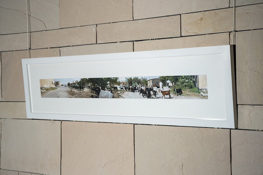 Doha Photography (3) - 3