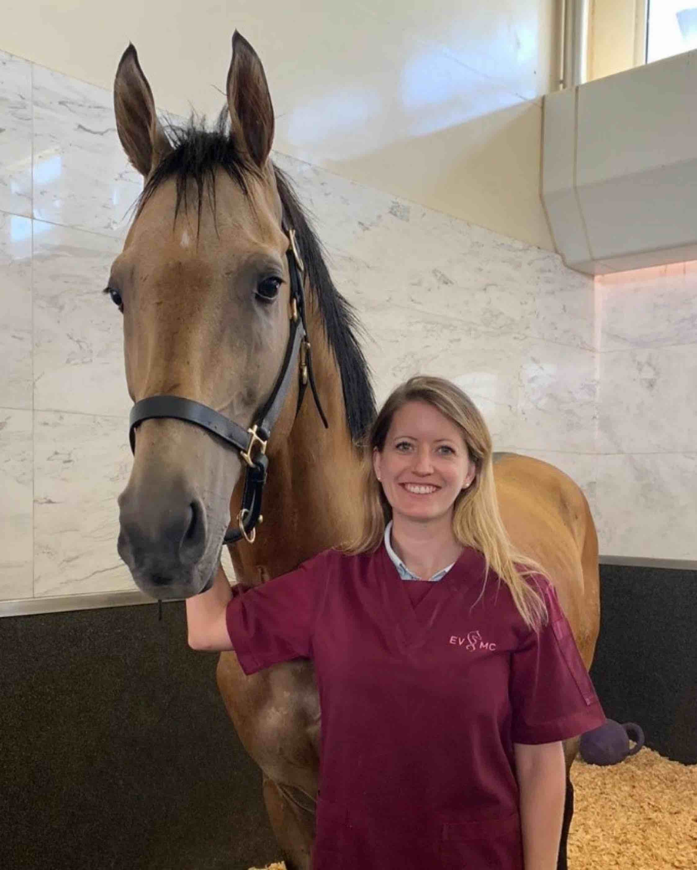 It’s as painful as horses wearing high heels, QF expert says of equine disease - QF - 01