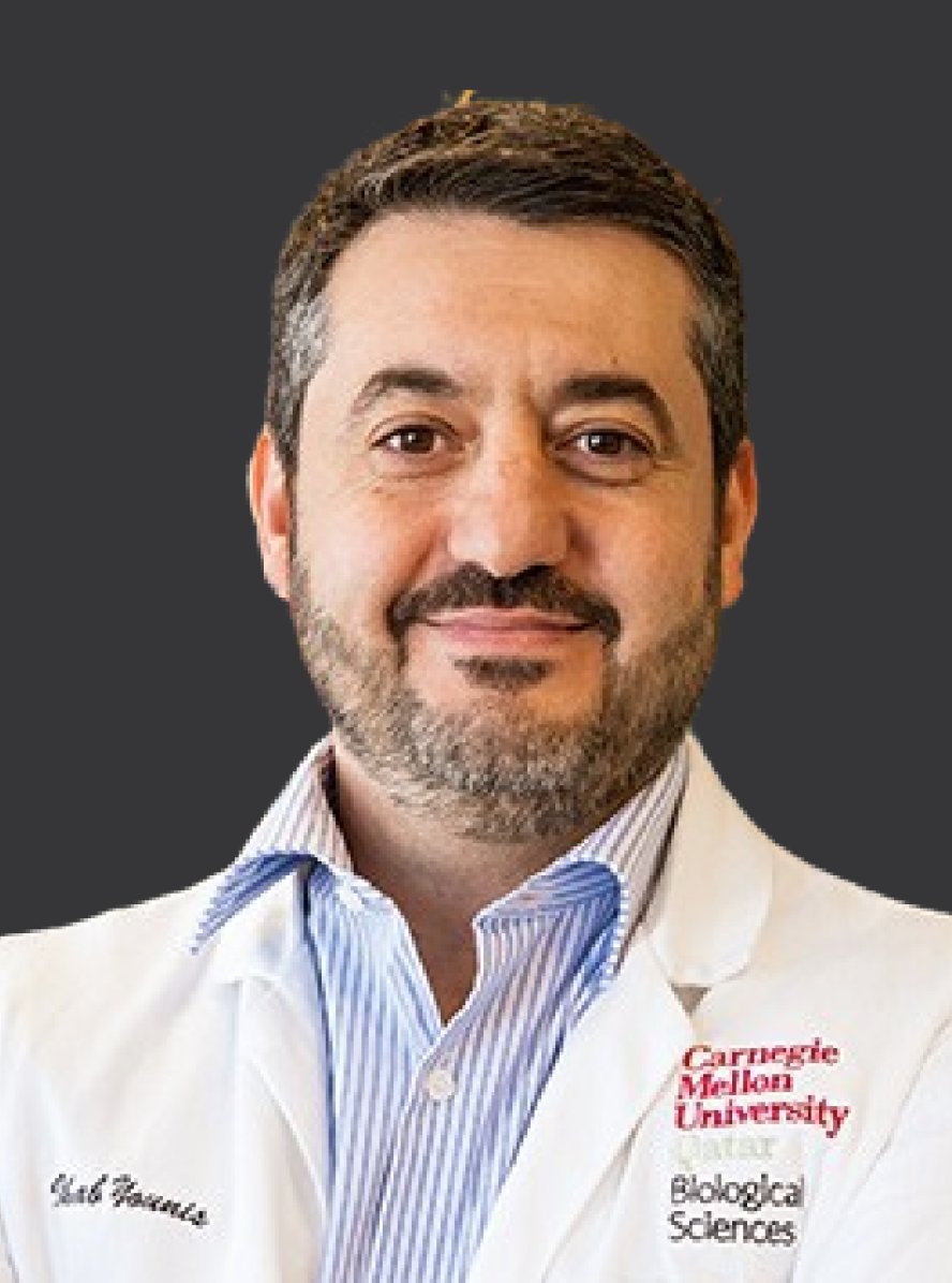 Dr. Ihab Younis