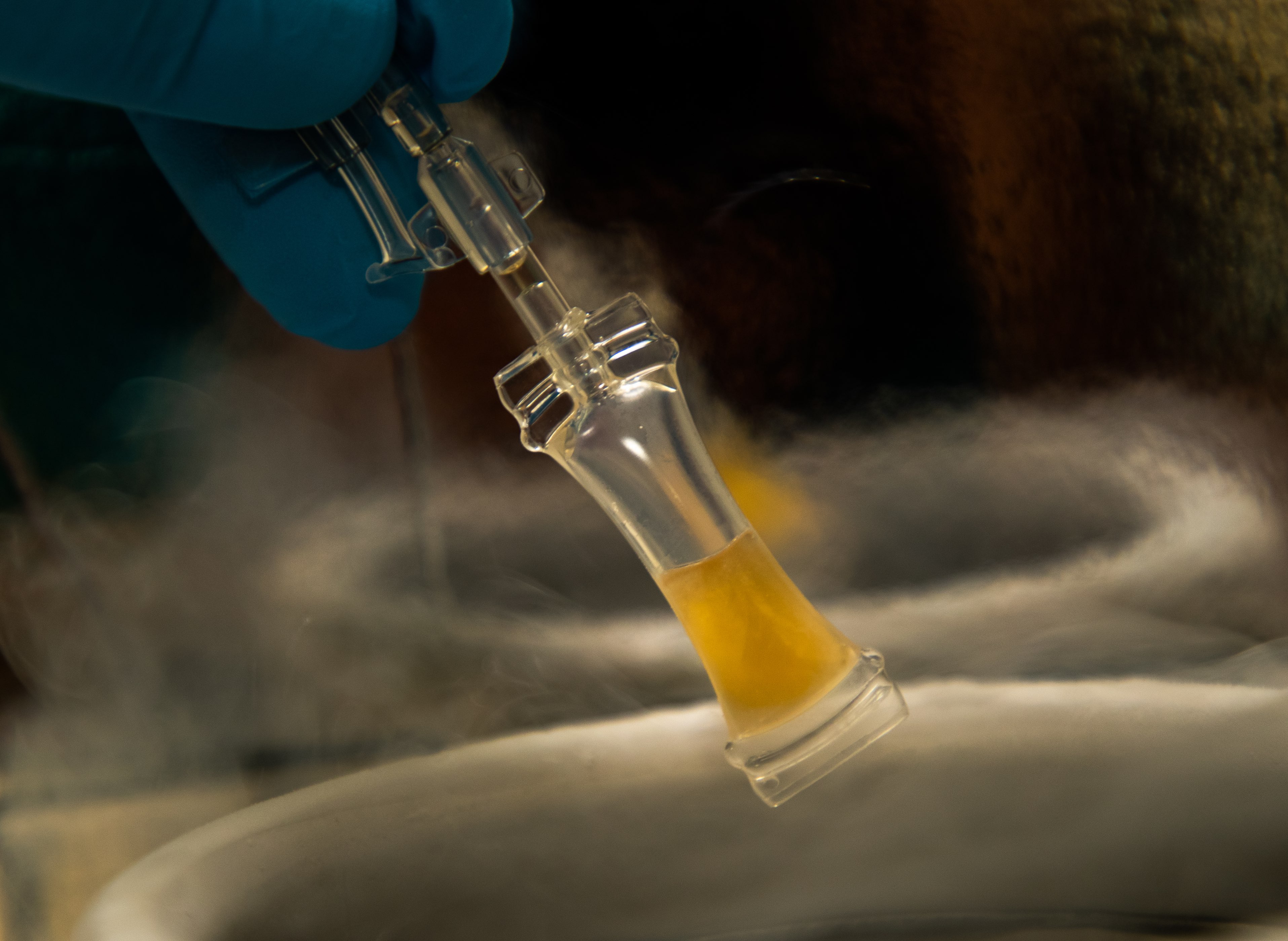 A first in Qatar: QF’s Sidra Medicine produces eye drops to treat 10-month-old girl with ultra-rare disease 