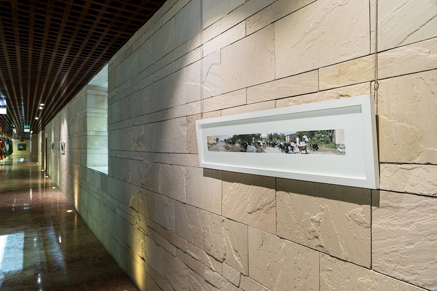 Doha Photography (3) - 4