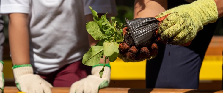 QF grows green minds – and green thumbs