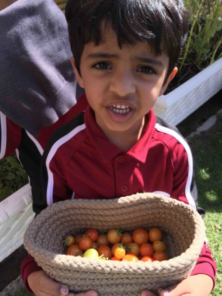 QF teachers helping students grow a green thumb - QF - 02