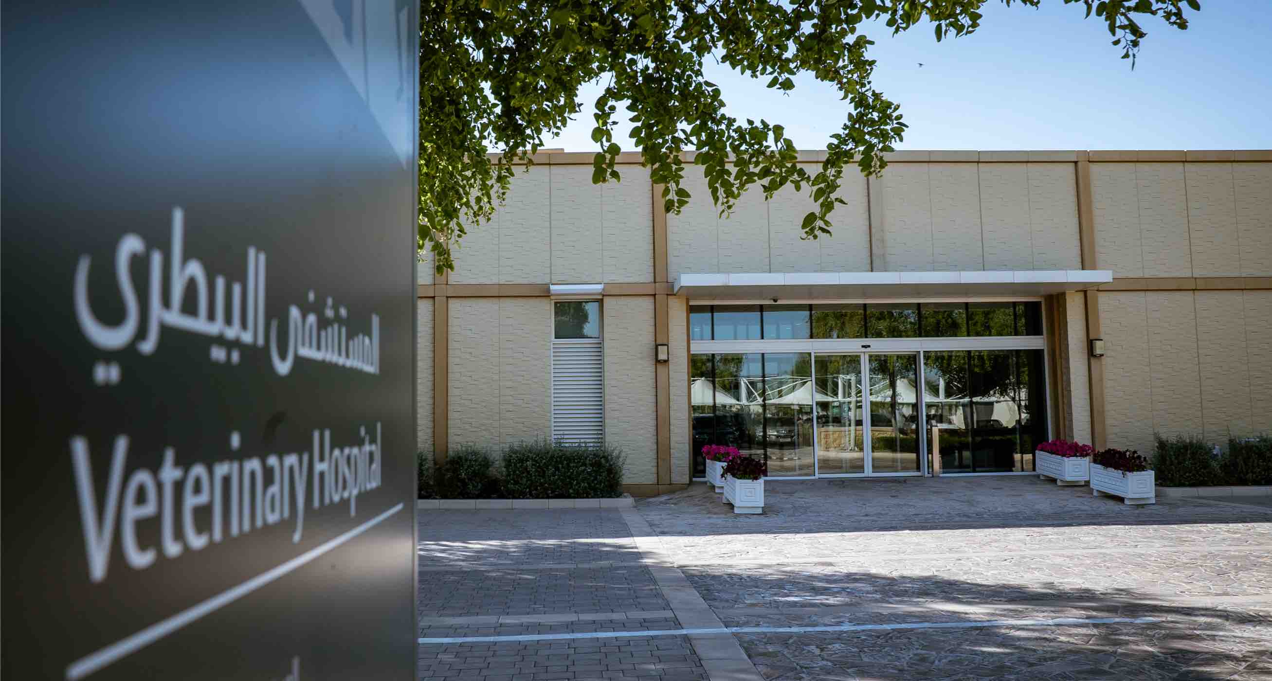 EVMC Equine Legacy - 01