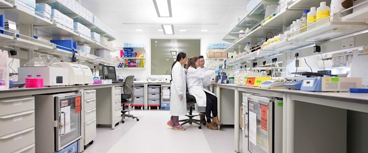 Why a project to create Qatar’s first twin registry marks a key step in genetic research – and collaboration