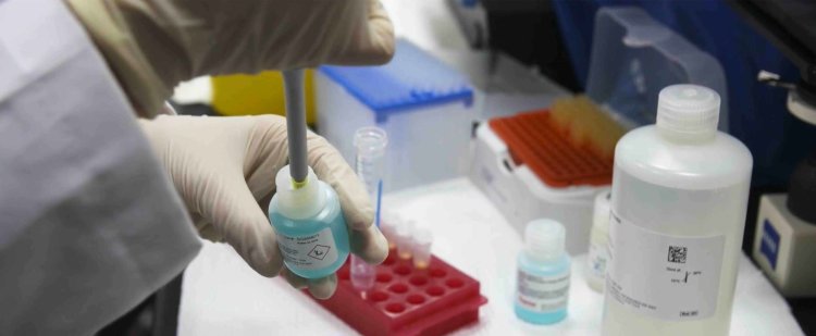 Data from QF’s Qatar Genome Programme improves breast cancer screening