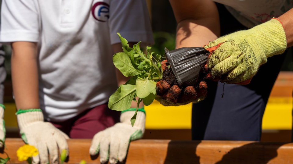 QF grows green minds – and green thumbs