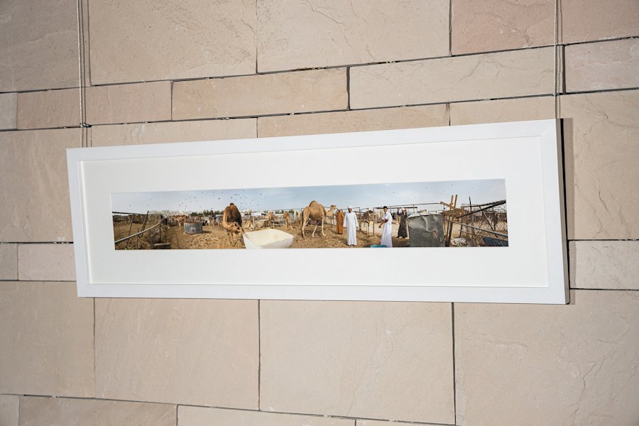 Doha Photography (6) 3