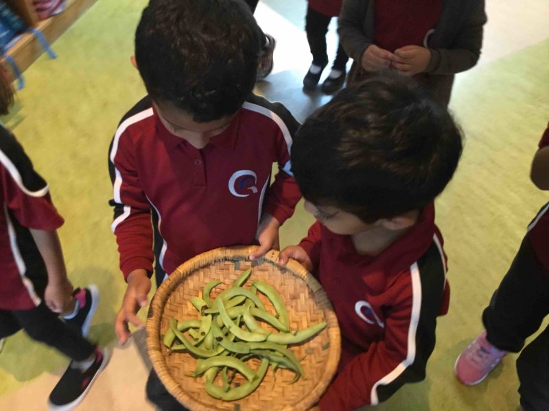 QF teachers helping students grow a green thumb - QF - 04